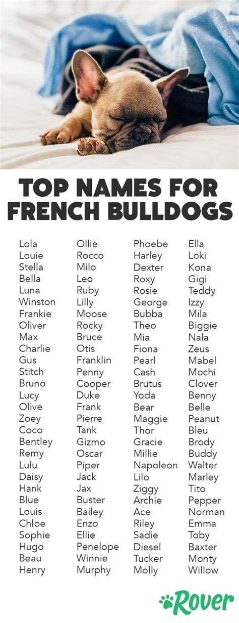 french bulldogs names